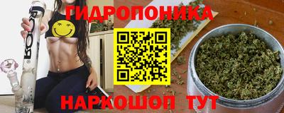спайс Гусь-Хрустальный